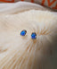 [92.5 Silver] Stone Point Stud Earrings-Holiholic