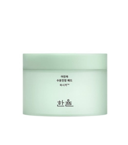 [HANYUL] Pure Artemisia Watery Calming Pads 60ea-Holiholic Main image