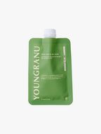 [YOUNGRANU] Protein Fit Shake-Holiholic