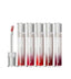 [About Tone] Go Crazy Dewy Lips-Holiholic