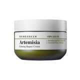 [BRING GREEN] Artemisia Calming Repair Cream - HOLIHOLIC