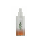 [MISSHA] New Artemisia Calming Ampoule - HOLIHOLIC