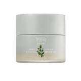 [MISSHA] New Artemisia Calming Cream 50ml - HOLIHOLIC