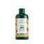 [THE BODY SHOP] Ginger Scalp Care Shampoo - HOLIHOLIC