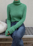 Vivid Turtleneck Sweater - HOLIHOLIC